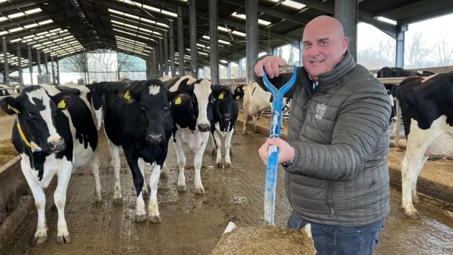 Το BBC το τερμάτισε... Πόσα σπίτια θα μπορούσαν να θερμανθούν από τα... περιττώματα αγελάδας;