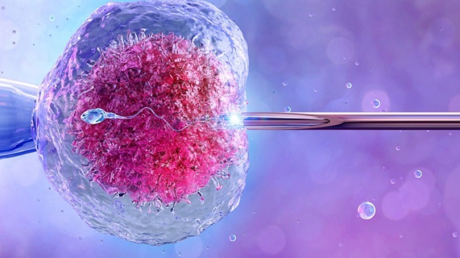 Mini-IVF: Έμφαση στην ποιότητα των ωαρίων