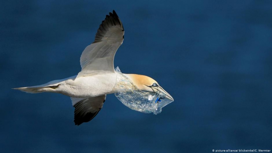 Τουρκία, η χωματερή πλαστικών σκουπιδιών της Ευρώπης, η Γερμανία πρώτη στις εξαγωγές