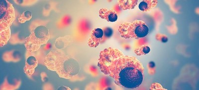 Διατροφή και καρκίνος