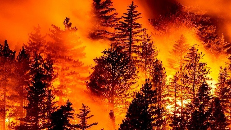 Μεγάλη πυρκαγιά σε θαμνώδη έκταση στην Καλιφόρνια, απομακρύνθηκαν 60.000 κάτοικοι