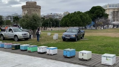 Θεσσαλονίκη: Διαμαρτυρία  μελισσοπαραγωγών στον Λευκό Πύργο με άδειες κυψέλες