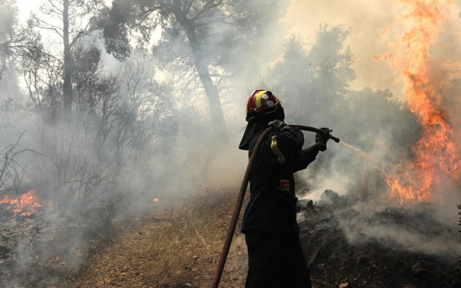Συνολικά 264 δασικές πυρκαγιές μέσα σε μία εβδομάδα - Πολύ υψηλός ο κίνδυνος την Πέμπτη 14/7