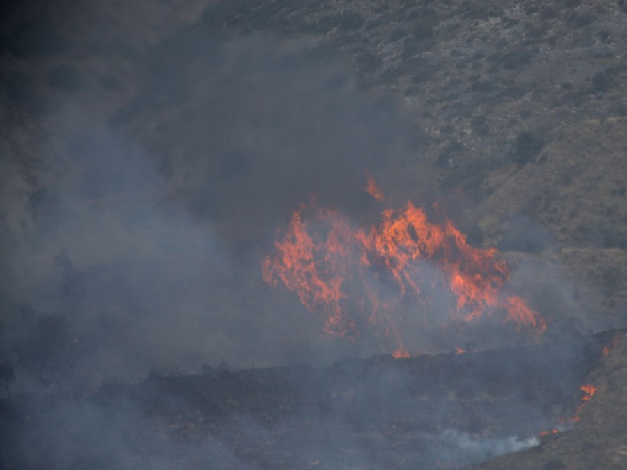 Υπό μερικό έλεγχο η πυρκαγιά σε δασική έκταση στη Βόλβη Θεσσαλονίκης