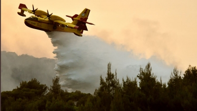 Πυρκαγιά σε δασική έκταση στην περιοχή Βασιλική Λακωνίας - Στο σημείο οι πυροσβεστικές δυνάμεις