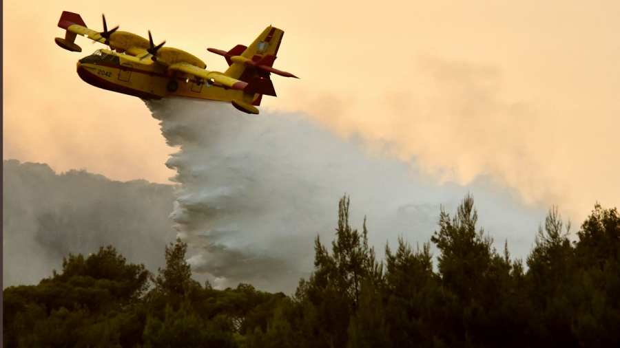 Πυρκαγιά σε δασική έκταση στην περιοχή Βασιλική Λακωνίας - Στο σημείο οι πυροσβεστικές δυνάμεις