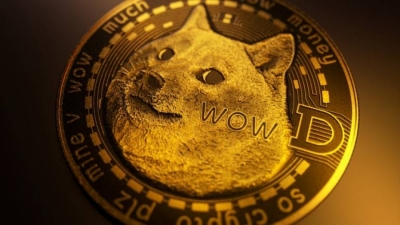 Κορυφαίος λιανοπωλητής στις ΗΠΑ δέχεται Dogecoins λόγω Doge Day