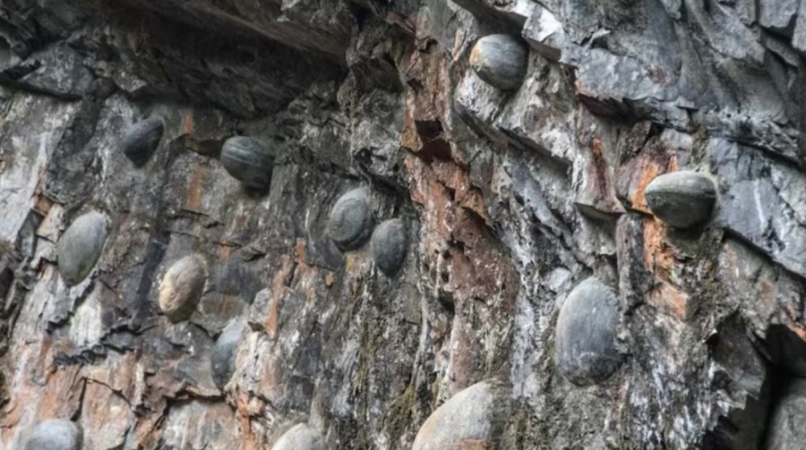 Εξωπραγματικό φαινόμενο! - Βουνό στην Κίνα γεννά... αυγά, ένα κάθε 30 χρόνια