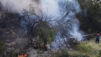 Αρνητική πρωτιά για την Ελλάδα στις καμένες εκτάσεις - Στάχτη περισσότερα από 1,6 εκατ. στρέμματα το 2023
