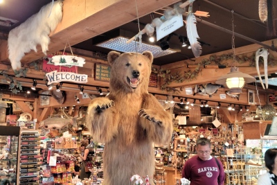 Όλα έτοιμα στην Αλάσκα - Οι φωτογραφίες μίλησαν...  «αρκούδες», διαδηλώσεις, διπλωματία και δημοσιογράφοι σε… κούνιες