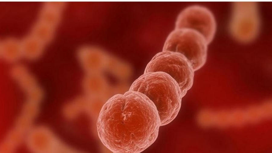 Πανελλήνιος Ιατρικός Σύλλογος: Τα τεστ ανίχνευσης στρεπτόκοκκου να διενεργούνται από εξειδικευμένο λειτουργό υγείας