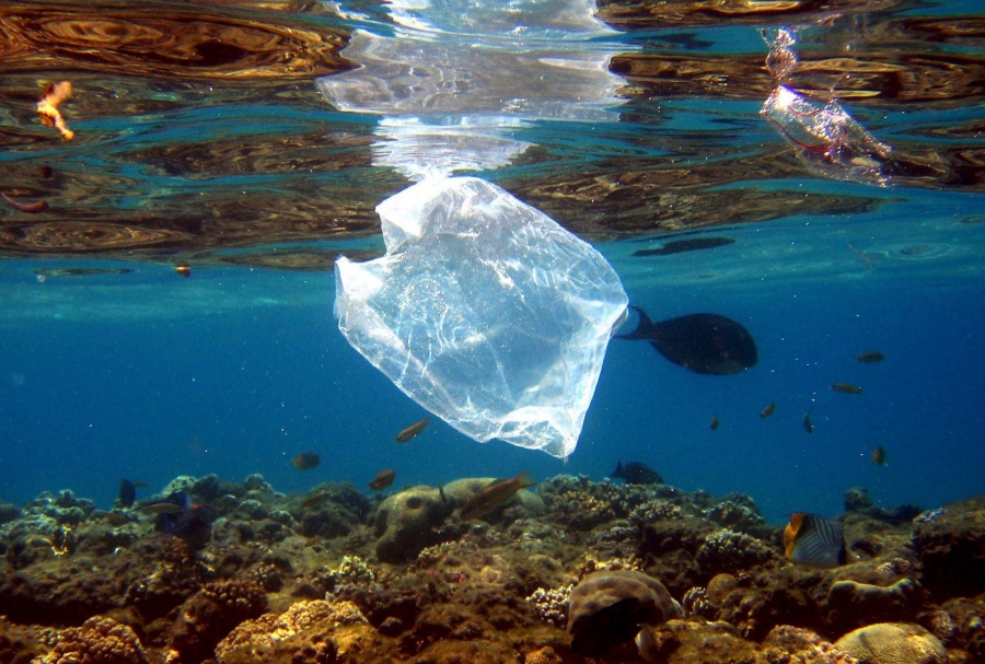 Παπαθεοδώρου (καθ. Ωκεανογραφίας): Τα τελευταία 15 χρόνια η πλαστική ρύπανση των θαλασσών είναι μεγαλύτερη