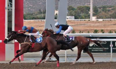Markopoulo Park: Εντυπωσιακό ξεκίνημα με έξι θεαματικές κούρσες