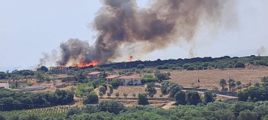 Μεγάλη πυρκαγιά σε δασική έκταση στην Κεφαλονιά - Καταγγελίες για εμπρησμό, μήνυμα 112 για εκκένωση τριών οικισμών