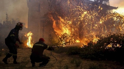 Αντιδήμαρχος Μαντουδίου (Εύβοια): Έχουν καεί 450.000 στρέμματα - Τα καμένα σπίτια είναι 1.000