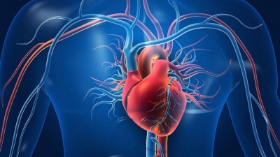 Καρδιακή ανεπάρκεια - Βάσιμες ελπίδες για τη θεραπεία της