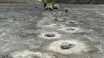 Συγκλονισμένη η επιστημονική κοινότητα - Ανακαλύφθηκε η μεγαλύτερη «λεωφόρος» δεινοσαύρων στον κόσμο