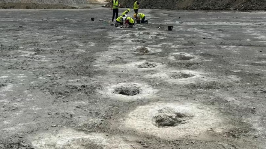 Συγκλονισμένη η επιστημονική κοινότητα - Ανακαλύφθηκε η μεγαλύτερη «λεωφόρος» δεινοσαύρων στον κόσμο