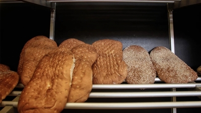 Η τιμή της λαγάνας αυξήθηκε κατά 133% τα 13 τελευταία  χρόνια - Που κυμαίνονται οι τιμές των θαλασσιών