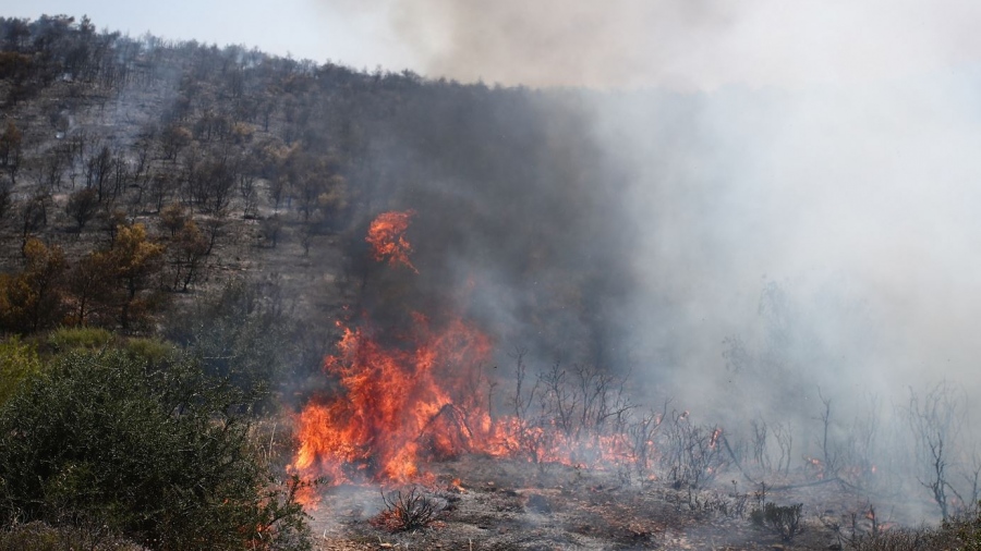 Μεγάλη φωτιά στην Αργολίδα – Εκκενώνονται τα Άνω Καρνεζαίικα - Επιχειρούν και εναέρια μέσα της Πυροσβεστικής