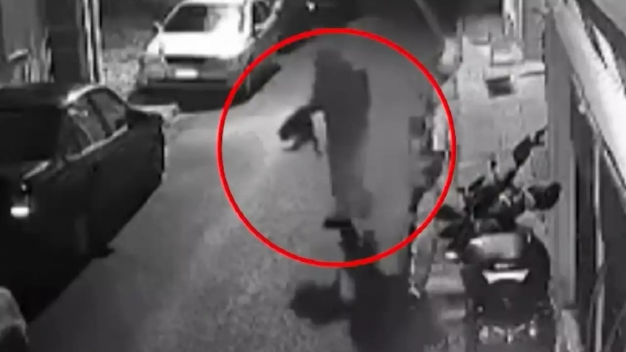 Βοτανικός: Στη φυλακή ο 33χρονος που βασάνισε και σκότωσε μια γάτα