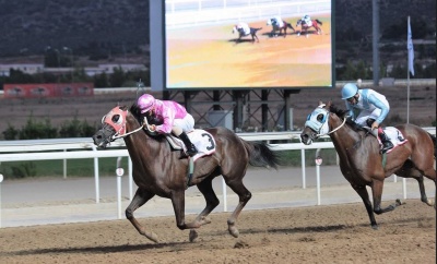 Πλούσιο θέαμα και μεγάλα κέρδη στο Markopoulo Park