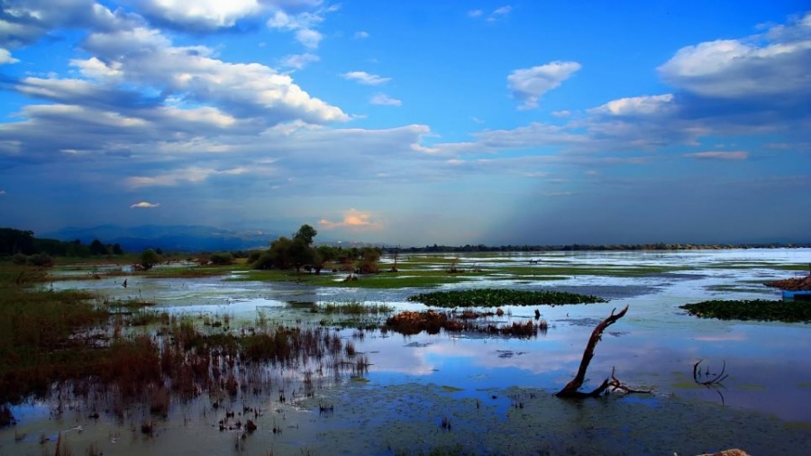 Πτώμα γυναίκας βρέθηκε στη Λίμνη Κερκίνη