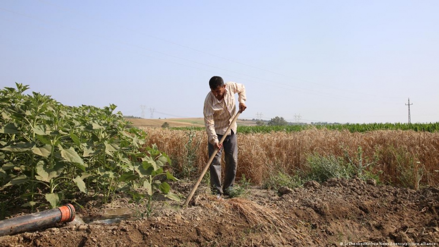 Βυθίζονται στα χρέη οι αγρότες στην Τουρκία
