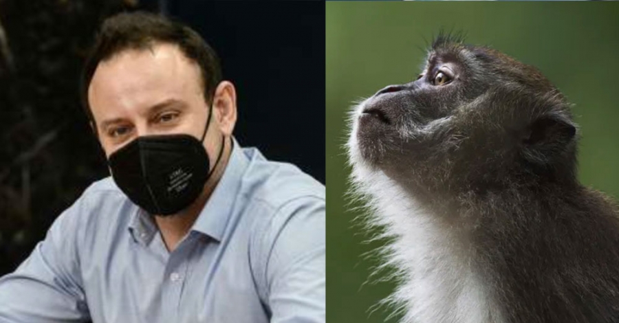 «Καμπανάκι» Μαγιορκίνη για την ευλογιά των πιθήκων: Ανάγκη να υπάρξει αυξημένη επαγρύπνηση