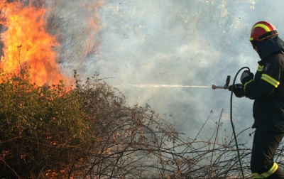 Πυρκαγιά σε δασική έκταση στο Βροντερό Πρεσπών