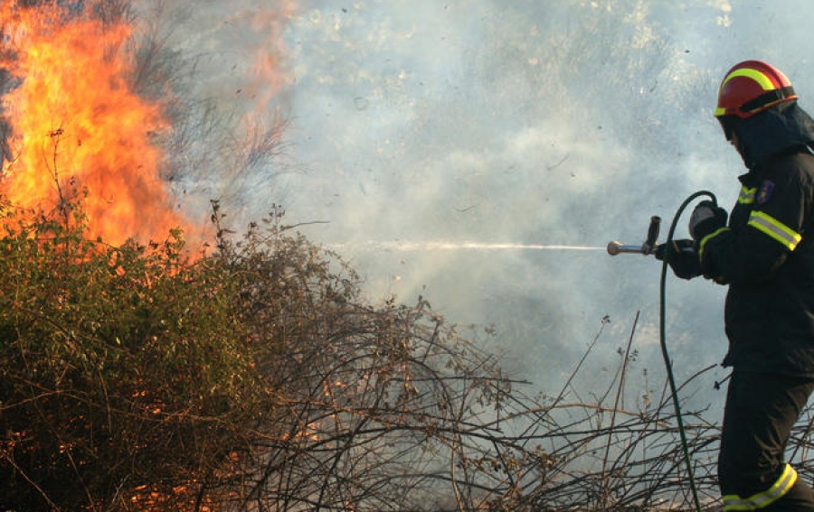 Πυρκαγιά σε δασική έκταση στο Βροντερό Πρεσπών