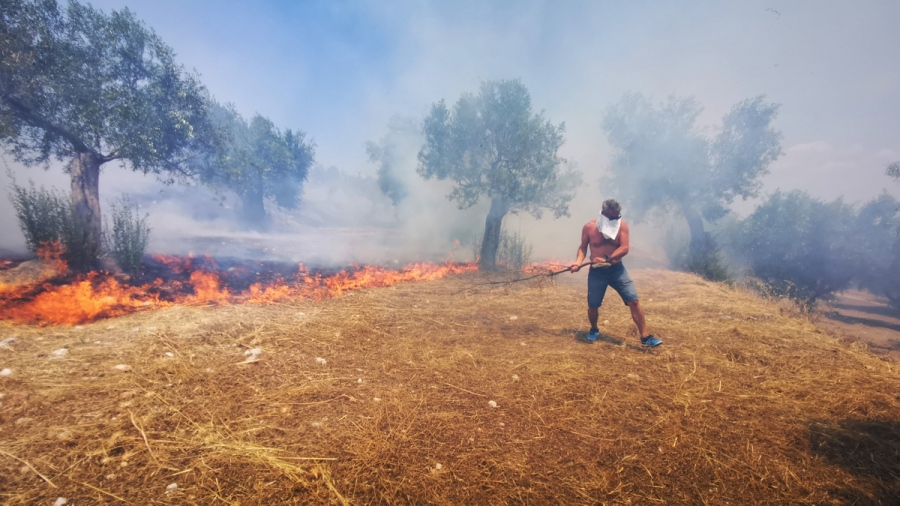 Πυρκαγιά στην Κινέτα Αττικής - Καίγεται δασική έκταση