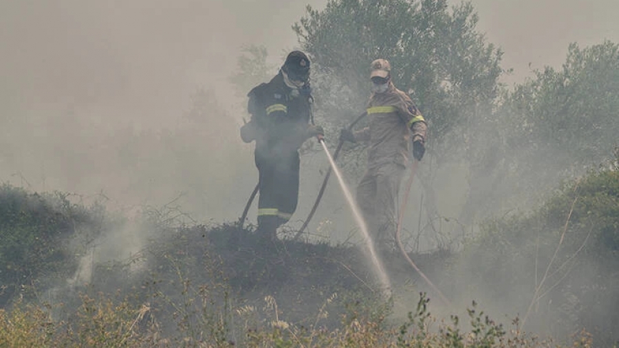 Φωτιά στη Θεσπρωτία: Πέρασε σε ελληνικό έδαφος η πυρκαγιά από την Αλβανία
