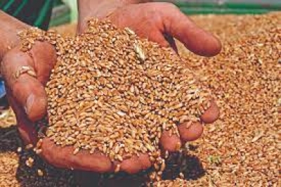 Ρωσία στον ΟΗΕ: Η Ουκρανία πληρώνει με σιτηρά τα πολεμικά όπλα και στερεί από τροφή τον πληθυσμό