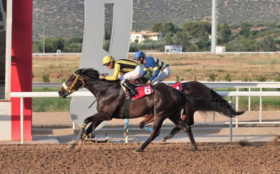 Markopoulo Park: Οκτώ δυνατές κούρσες και τζακ ποτ στο Σκορ 6