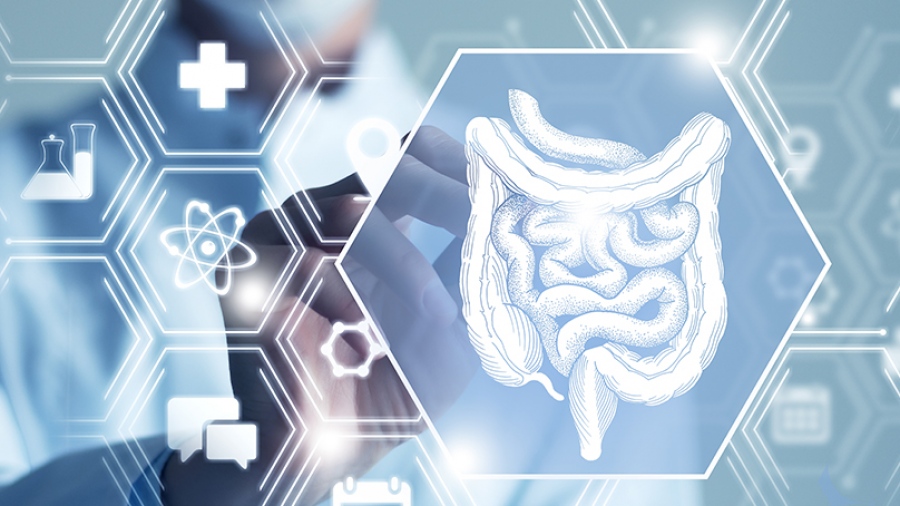 Ενδοσκόπηση του πεπτικού συστήματος: Τι προσφέρει