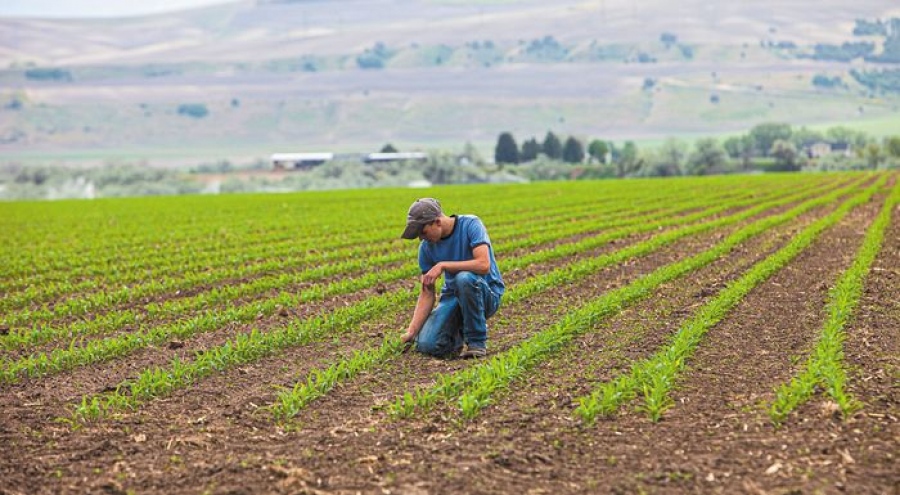 ΕΛΣΤΑΤ: Με το ζόρι τα βγάζουν πέρα οι αγρότες – Τα έξοδα και τα έσοδα των αγροτών από το 2019 μέχρι σήμερα