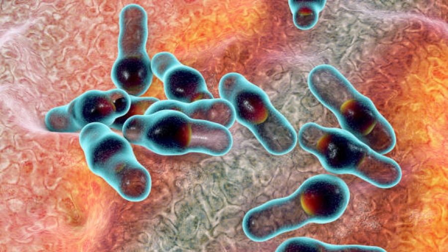 Γαλλία: Μια γυναίκα νεκρή και 12 άτομα στο νοσοκομείο από κρούσμα αλλαντίασης