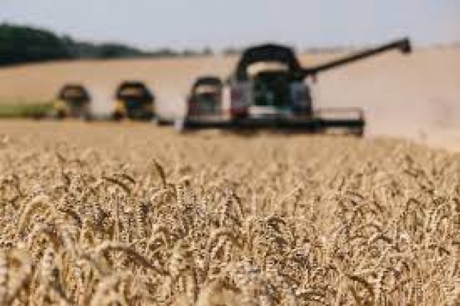 Συμμαχία Ρωσίας και Τουρκίας για κατά της επισιτιστικής κρίσης  - Δωρεάν σιτάρι σε φτωχά κράτη της Αφρικής