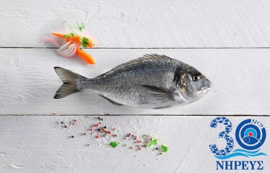 Νηρέας: Εντός 9 μηνών θα ολοκληρωθεί η συμφωνία με την Andromeda - Γιατί ενδέχετα να μειωθεί το τίμημα των 10 εκατ. ευρώ