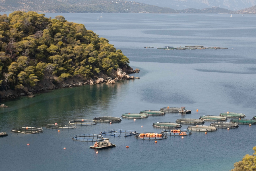Ανησυχία για την επιτάχυνση της επέκτασης των υδατοκαλλιεργειών στην Ελλάδα