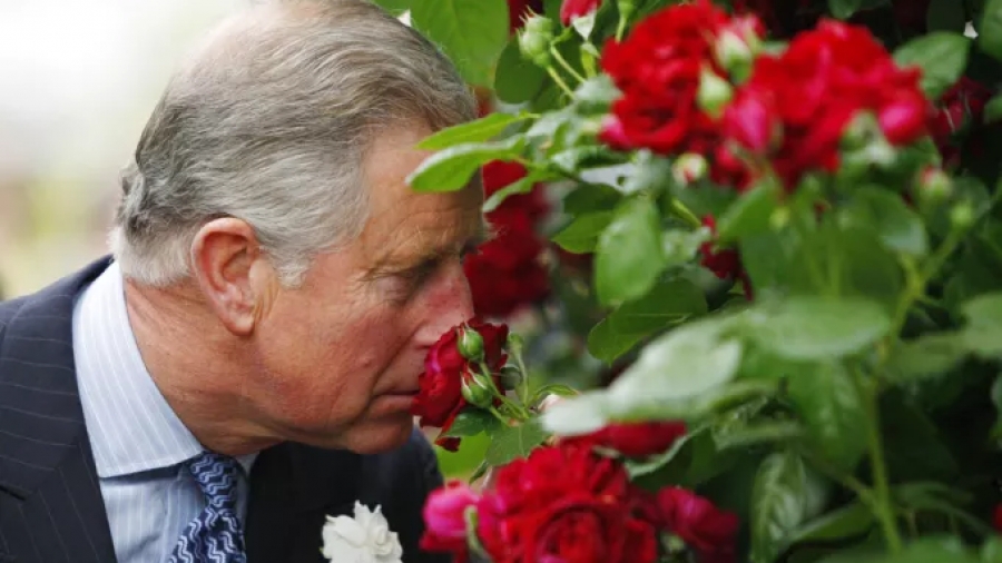 Ο πρίγκιπας Κάρολος προωθεί το δικό του... άρωμα - Εμπνευσμένο από τους κήπους του - Κοστίζει 180 δολ.
