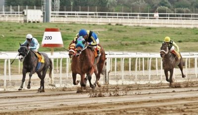 Markopoulo Park: Σημαντικά κέρδη για 15 νικητές του ΣΚΟΡ 6 στην πρώτη ιπποδρομιακή συγκέντρωση της χρονιάς