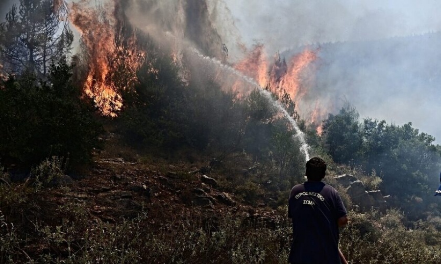 Άνοιξε η Εγνατία, τέθηκε υπό μερικό έλεγχο η πυρκαγιά στη Βόλβη Θεσσαλονίκης