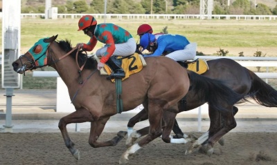 O ΠΑΡΤΥ ΤΑΪΓΚΕΡ νικητής του 1ου Μarkopoulo Park Handicap