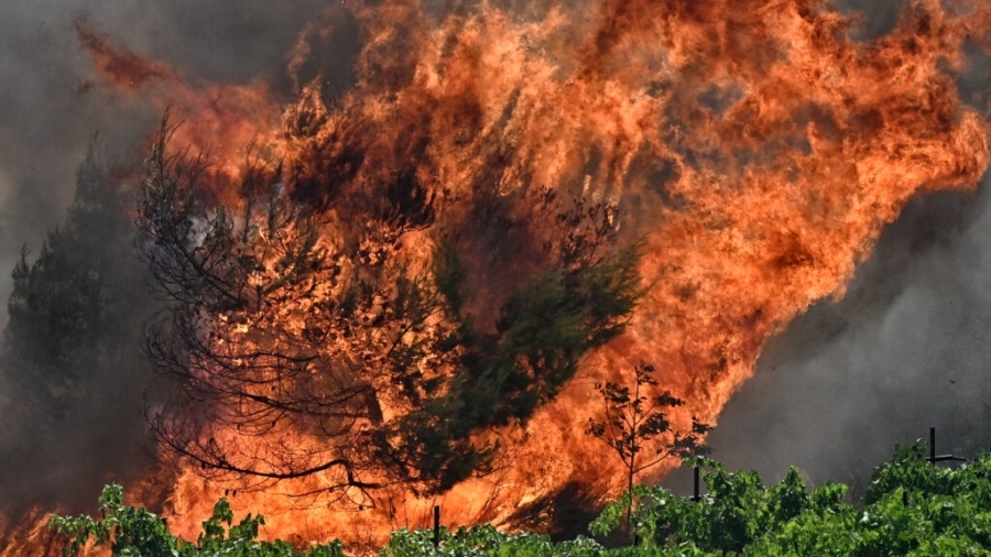 Κορωπί: Φωτιά στη θέση Πόκα κοντά σε σπίτια - Μεγάλη κινητοποίηση της πυροσβεστικής