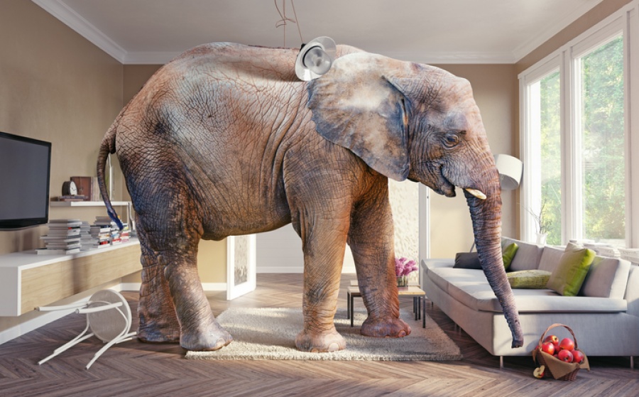 Υπάρχει ένας ελέφαντας στο δωμάτιο, τον έχει δει κανείς; - Από την θάλασσα αβεβαιότητας διεθνώς στην τοξική απραξία στην Ελλάδα