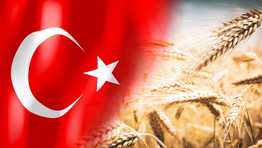 Erdogan: Μη βιώσιμη χωρίς τη Ρωσία η συμφωνία για τα σιτηρά – Θα συνεχίσουμε το διάλογο