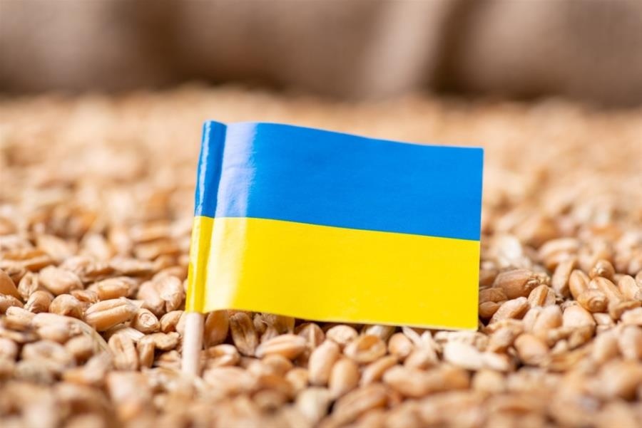 Μειώθηκαν κατά 1/3 οι ουκρανικές εξαγωγές σιτηρών, μετά την ρωσική αποχώρηση από τη συμφωνία Μαύρης Θάλασσας