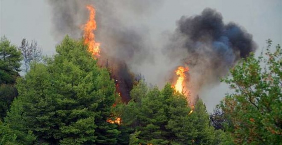 Τρία πύρινα μέτωπα καίνε στην Πελοπόννησο - Δυνατοί άνεμοι δυσχεραίνουν το έργο των πυροσβεστών